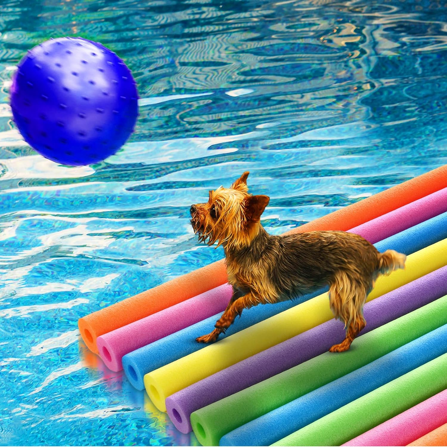 18 Buah Pelampung Kolam Renang - Foam Pool Noodle ulasan dan harga